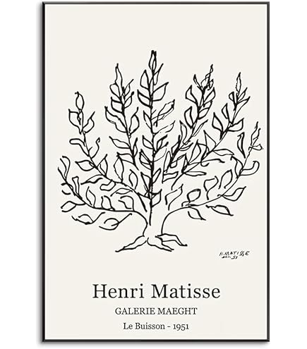 Amazon.co.jp: アンリ・マティス ポスター《千夜一夜物語》キャンバス