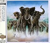 �A�[���h�E�t�H�[�Z�X +1