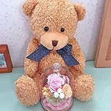 【即日出荷】ベージュくま&コルクドームプリザーブドフラワー★パステルローズ (ベージュ, パステル) 【お祝い 誕生日 母の日 ギフト】