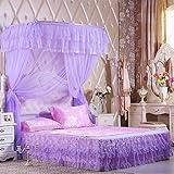 royal- U字型釣りロッドTelescopic Mosquito Net three-door Singleダブル暗号化Thickeningステンレススチールブラケットパープル 1.5m (5 f