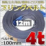 スリングベルト 幅100mm 使用荷重4t ベルトスリング 繊維ベルト 吊りベルト クレーンベルト 帯ベルト 吊り上げ 作業用 屋外 建設機械 船舶 運搬作業 ポリエステル素材 土木 農林業 造船 (