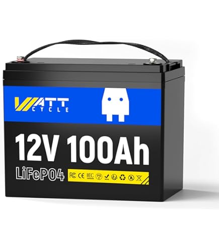 MFUZOP リン酸鉄リチウムイオンバッテリー 12v 100ah Amazon.co.jp: MFUZOP 12V100Ah リン酸鉄リチウムイオンバッテリー