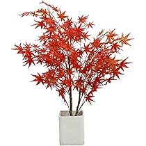 その他観葉植物 Momiji Amazon｜フェイクグリーン モミジ 観葉樹 鉢植え 人工観葉植物
