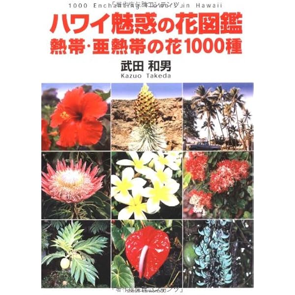 ハワイ魅惑の花図鑑 熱帯 亜熱帯の花1000種 武田 和男 本 通販 Amazon