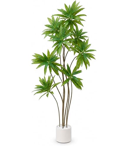 Amazon｜Fuyutu フェイクグリーン 大型 カシワバゴムノキ 160cm