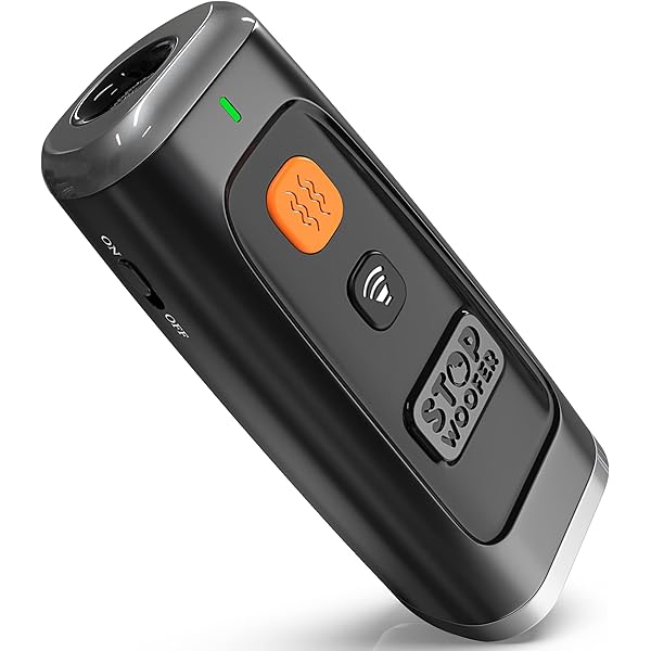 sunbeam sonic egg amazon