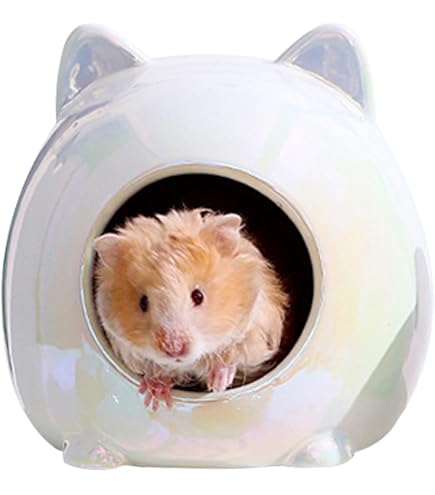 GEXグラスハーモニー600プラス【ゴールデンハムスターにおすすめ】 Amazon | GEX ゴールデンハムスター飼育セット グラスハーモニー