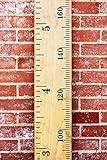 おもちゃ DIY Vinyl Growth Chart Ruler Decal Kit Metric Combination [並行輸入品]