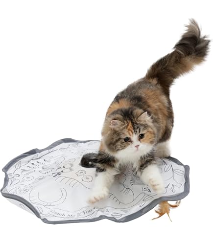 Amazon | Bubble Cat 猫用おもちゃ シャボン玉 バブル キャットガン