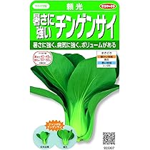 強かな小松菜様 專用 強かな小松菜様 專用