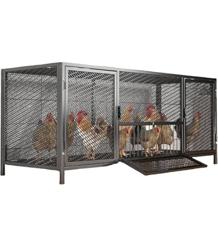 Amazon.co.jp: ニワトリ小屋 キット カバー付きで持ち運び可能 卵
