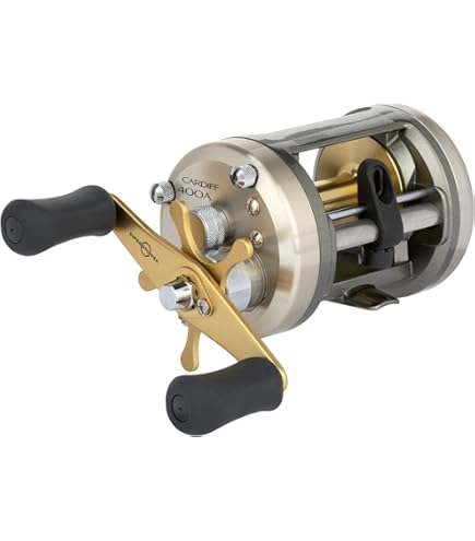 SHIMANO 20 Calcutta Conquest DC 200HG Right : Amazon.sg