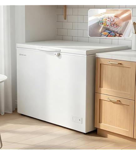 Amazon.co.jp: 冷凍庫 250L 300L 大容量 業務用 家庭用 鍵付き