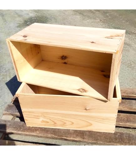 Amazon.co.jp: 強度・耐久性！！大工道具箱（スライド蓋付き