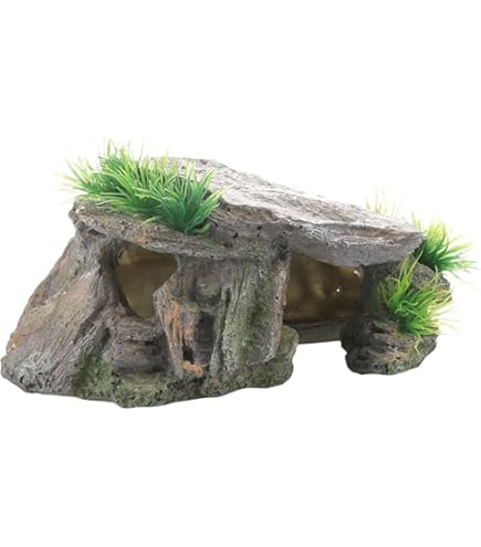 テラリウム空間（イモリ等の両生類の飼育可） テラリウム空間（イモリ等の両生類の飼育可） チャーム（ペット