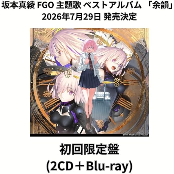 Amazon.co.jp: Fate/Grand Order material XV【書籍】 : PCソフト