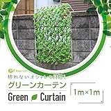 グリーンフェンス 日よけ グリーンカーテン 目隠し 伸縮 100cm×100cm C