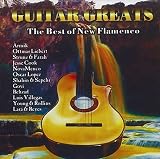 Guitar Greats: B.O. New Flamenco
