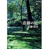 DVD ��Ղ̒� ���s�E�ێ�