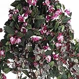 工場直接クラフトカスケードGrandフクシア人工Strawberryゼラニウムブッシュホーム装飾、クラフト用および表示