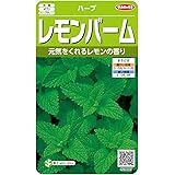 サカタのタネ 実咲ハーブ8087 レモンバーム ハーブ 00928087