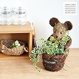 LAND PLANTS 【ガーデニング用品】 ベアーフラワー バスケット