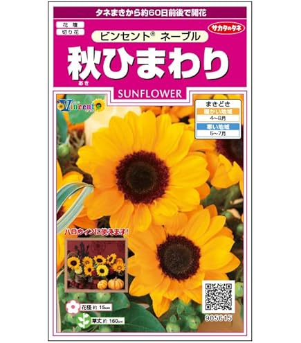 ひまわりん　まとめ売り 楽天市場】ひまわり：向日葵（ミスサンシャイン） 3.5号 ポット