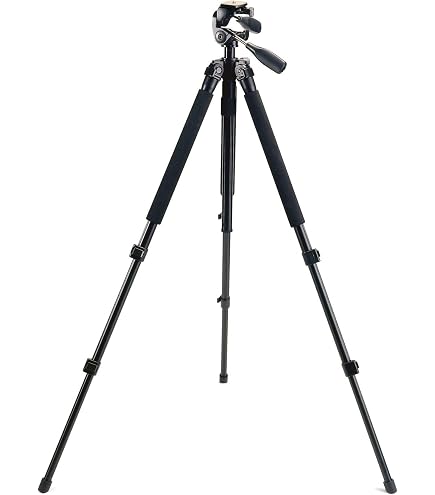 Amazon.co.jp: Rokinon 85mm T1.5 シネ DSX レンズ MFT用 : 家電＆カメラ