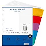 マルマン インデックス A4 幅広 30穴 (2穴対応) インデックスシート 5山 10組 1冊 LT3005F