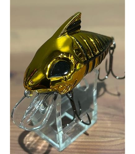 Amazon.co.jp: Water Land(ウォーターランド) スケルトンクランク