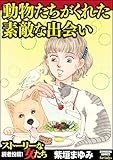 動物たちがくれた素敵な出会い (ストーリーな女たち)
