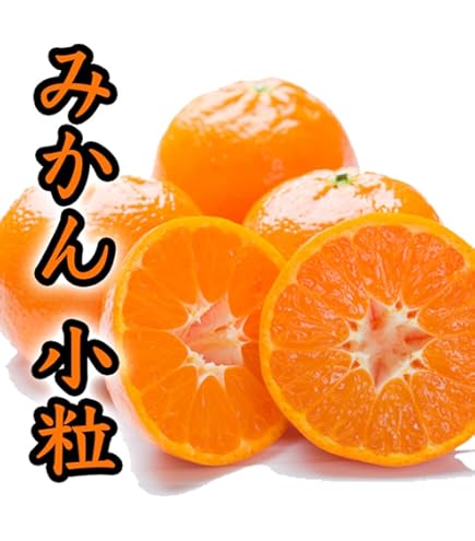 Amazon.co.jp: 愛媛西宇和 真穴みかん S/Mサイズ 約10kg お歳暮贈答用