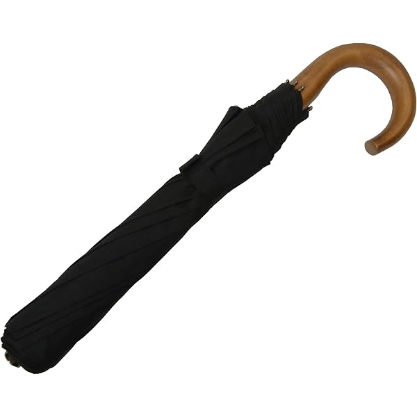 Amazon.co.jp: [フォックスアンブレラズ] 傘 折り畳み 10 Rib TEL4