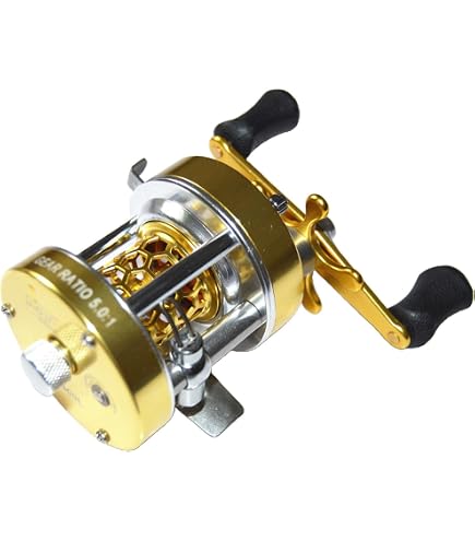 Amazon | Avet HX 5/2 MC Raptorリール - 右手用 - ブルー | Avet