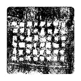 THORN OF NORTHSIDE 48