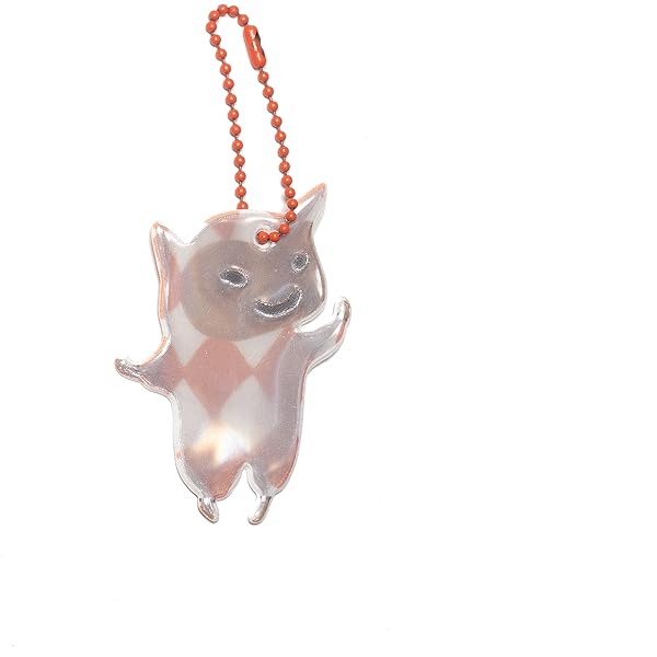 Amazon.co.jp: いろのくに かずのくに―リトルピンクとブロキガ