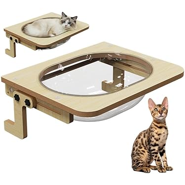 Amazon.co.jp 最新リリース: 猫のハンモック の新着ランキングです。