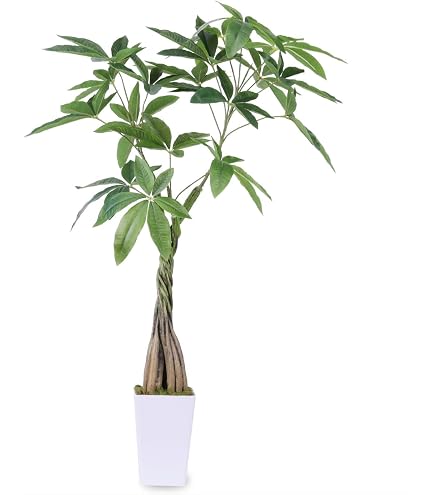 Amazon｜FeyFey フェイクグリーン 大麻 マリファナ CBD 造花 観葉植物