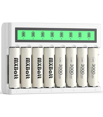 Amazon.co.jp: 「エコロでん」 急速充電器 単4形充電池×2個入