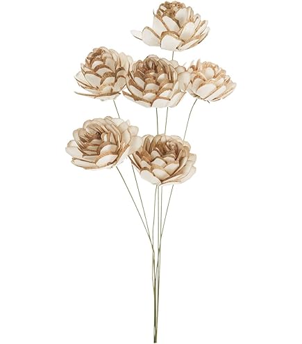 Amazon｜大地農園 ドライフラワー N 約7～12cm ブッダナッツ DO085700