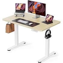 ErGear 電動昇降式デスク 幅100cm 耐荷重80kg