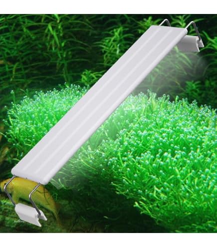 Amazon.co.jp: アクロ TRIANGLE LED GROW Pro