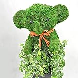 ほんまもん屋 アニマルトピアリーモス (ぞう)