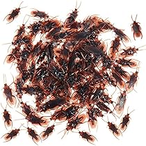 羊頭狗肉　ゴキブリ（G）　　　おもしろグッズ 羊頭狗肉 ゴキブリ（G） おもしろグッズ 羊頭狗肉ゴキブリ（G