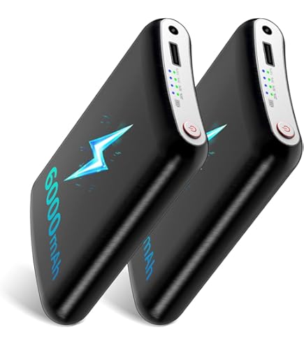 Amazon.co.jp: LENZ セット リチウムパック RCB 1200 + ヒートソックス