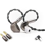 SIVGA Nightingale ナイチンゲール 平面磁界ドライバー 有線 Hi-Fi