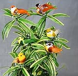 1ダース、3.5インチ人工Assortedマッシュルーム鳥に足が染めフェザー翼＆テール有線で6アソートカラー