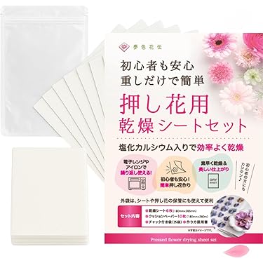 Amazon.co.jp ほしい物ランキング: 子ども向け押し花キット で
