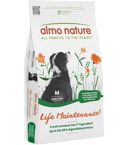 Amazon.co.jp: Almonnature Dog Food Holistic Lamb for Large Dogs