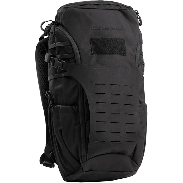 Amazon.co.jp: Eberlestock Banditパック - 頑丈なEDCバックパック
